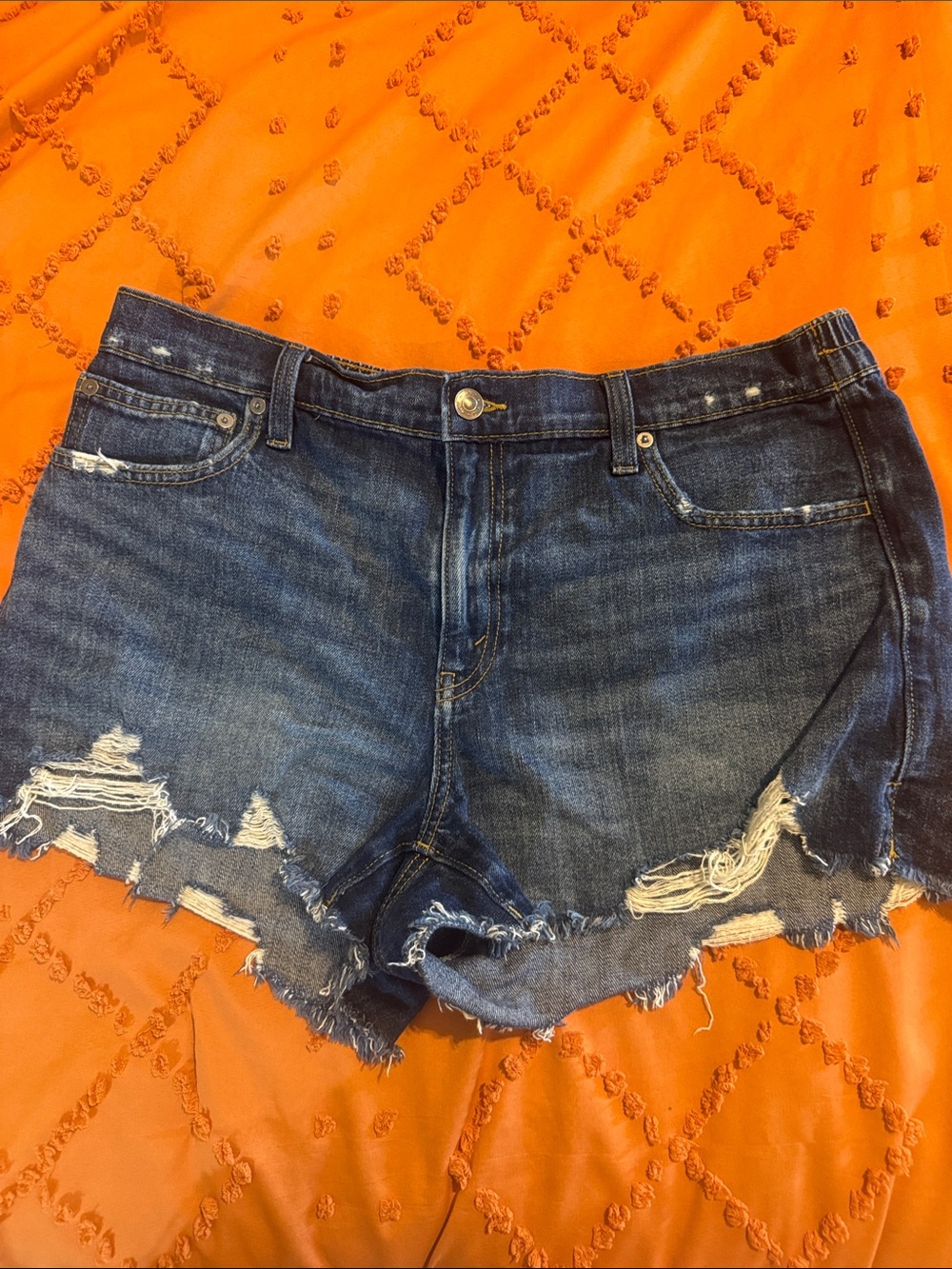 Aerie Dark Blue Distressed Denim Women’s Shorts
